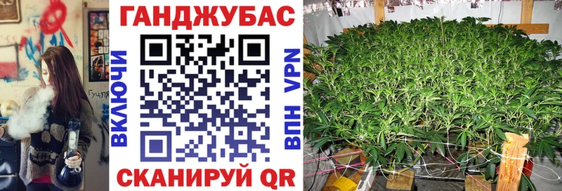 Виды наркотиков купить Кондопога СК Бошки Шишки МЕФ ГАШИШ