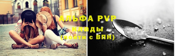 прущие грибы Нязепетровск
