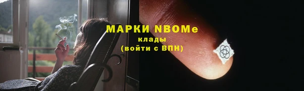 прущие грибы Нязепетровск
