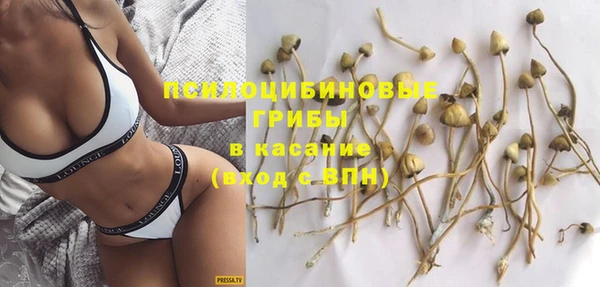 прущие грибы Нязепетровск