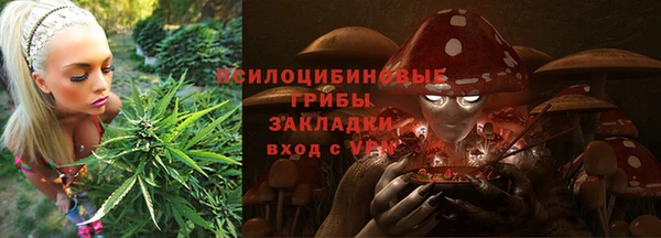 прущие грибы Нязепетровск