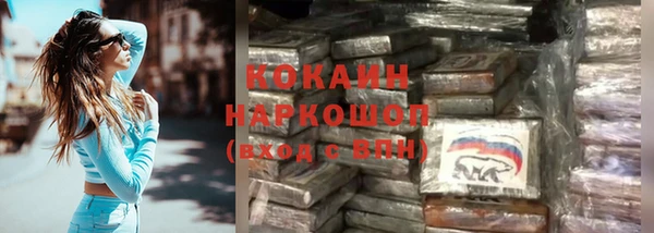 прущие грибы Нязепетровск