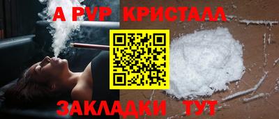прущие грибы Гатчина