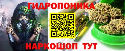 крисы Гагарин