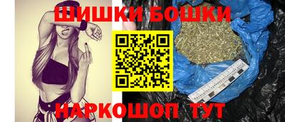 крисы Гагарин