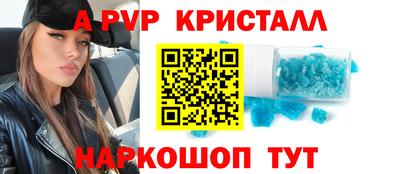 крисы Гагарин