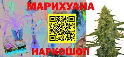 прущие грибы Гатчина