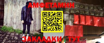 прущие грибы Гатчина