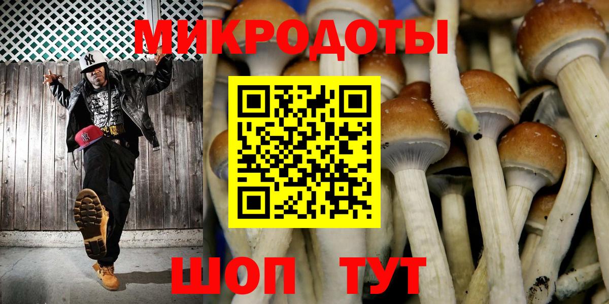 Псилоцибиновые грибы Cubensis  Кондопога  Псилоцибиновые грибы Psilocybine cubensis 