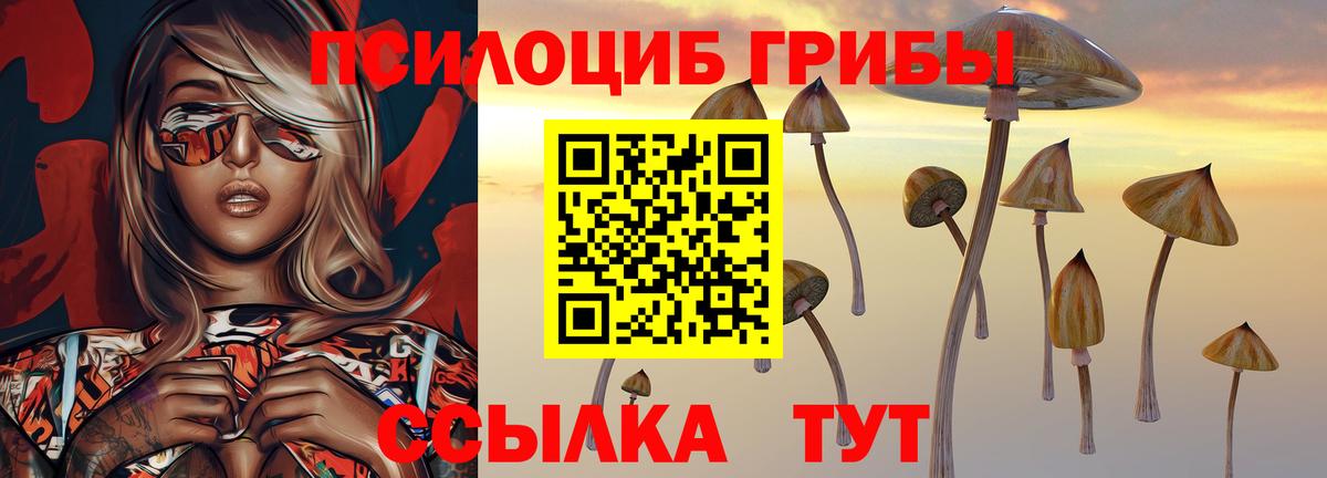 Галлюциногенные грибы GOLDEN TEACHER Кондопога
